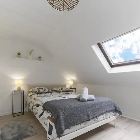 Le Cedre - Cosy Dans Le Centre De * Vichy