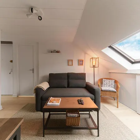 Le Cedre - Cosy Dans Le Centre De Виши