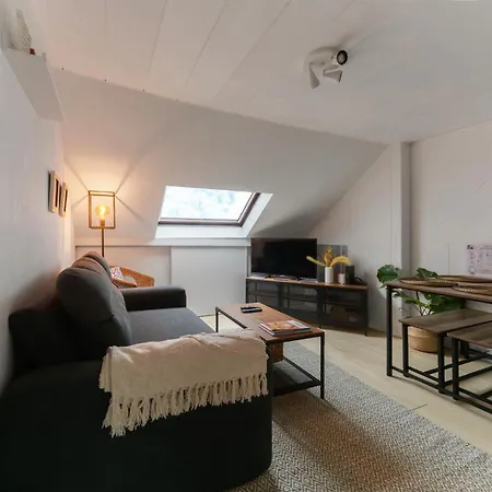 Апартаменты Le Cedre - Cosy Dans Le Centre De Виши