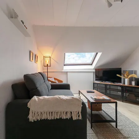 Le Cedre - Cosy Dans Le Centre De Apartment Vichy