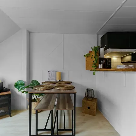 Апартаменты Le Cedre - Cosy Dans Le Centre De Виши