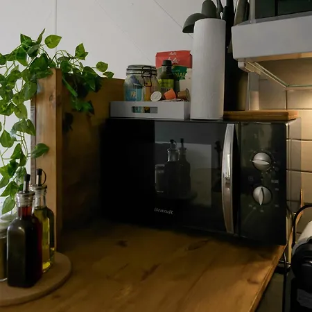 Apartment Le Cedre - Cosy Dans Le Centre De *