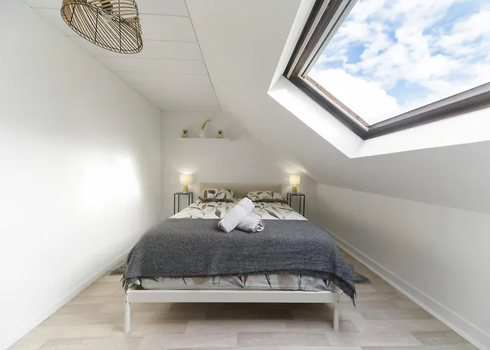 Le Cedre - Cosy Dans Le Centre De Апартаменты Виши