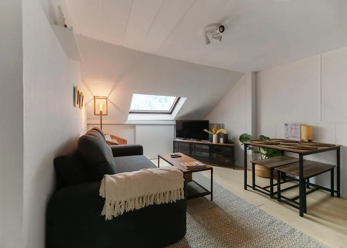 Апартаменты Le Cedre - Cosy Dans Le Centre De Виши