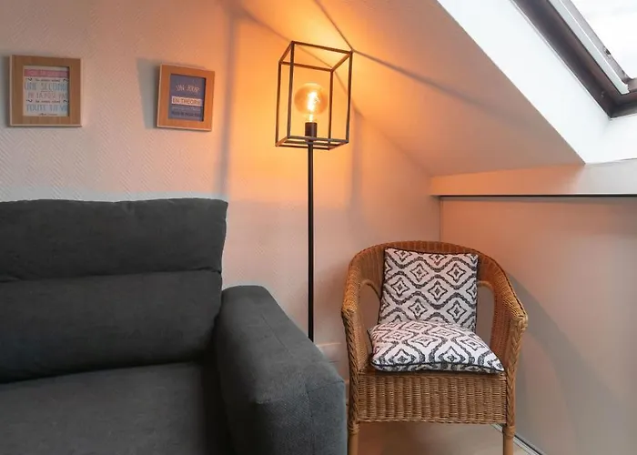 Le Cedre - Cosy Dans Le Centre De Виши