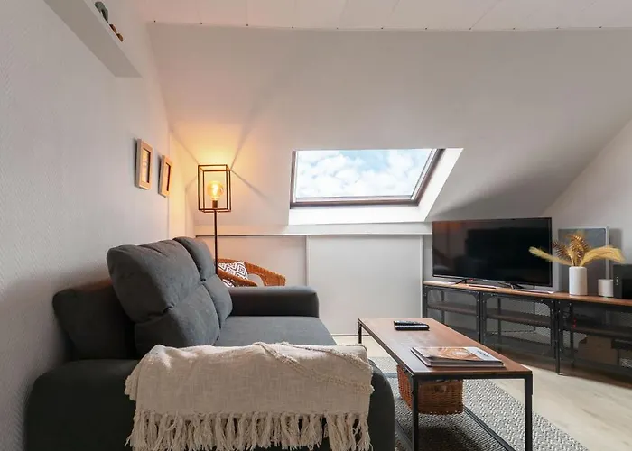 Le Cedre - Cosy Dans Le Centre De Апартаменты Виши