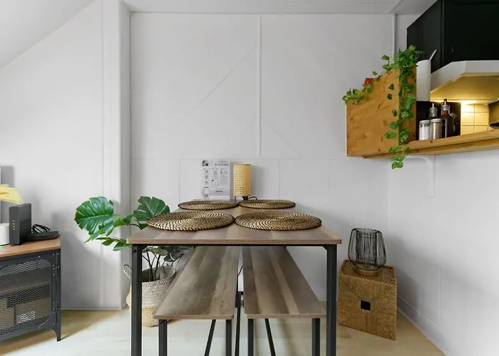 Le Cedre - Cosy Dans Le Centre De * Виши