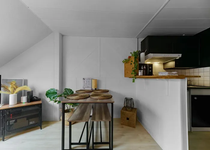 Апартаменты Le Cedre - Cosy Dans Le Centre De Виши