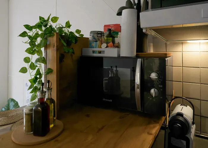 Апартаменты Le Cedre - Cosy Dans Le Centre De *